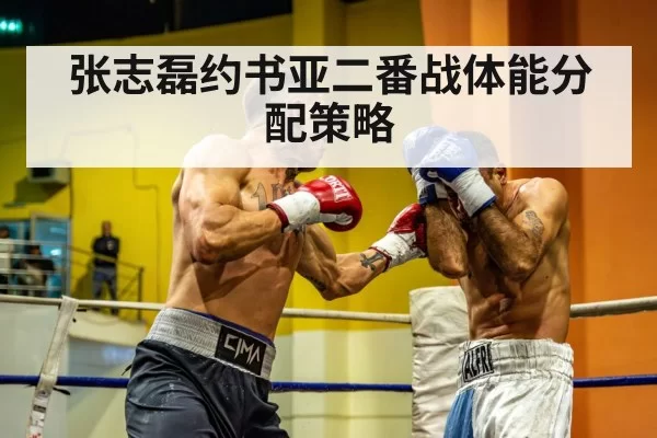 heavyweight boxing match